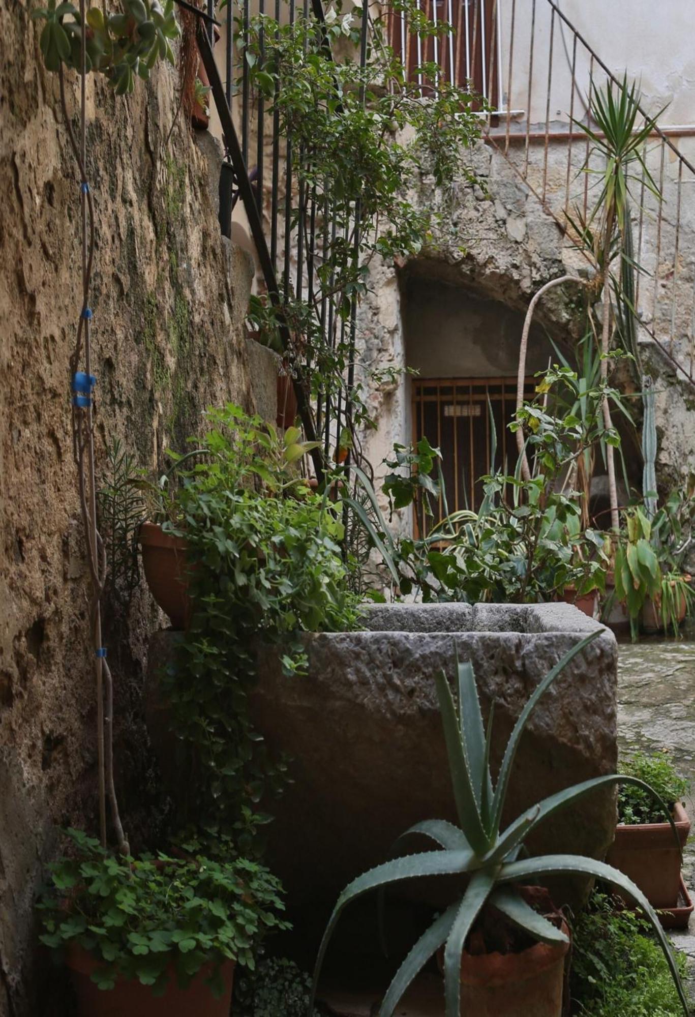 Terrazza Del Cortile - By Vacation Service Cefalu Ngoại thất bức ảnh